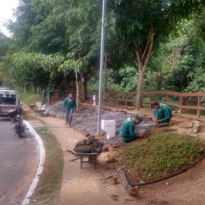 Manutenção das áreas verdes