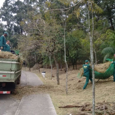 Manutenção das áreas verdes