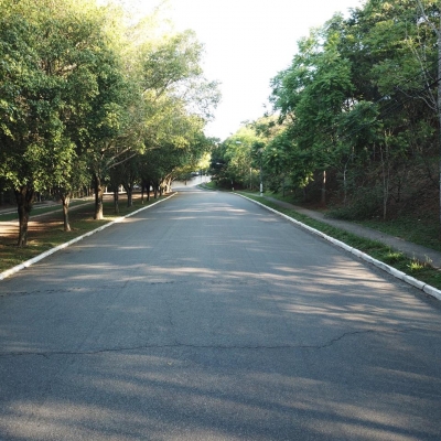 Manutenção das áreas verdes