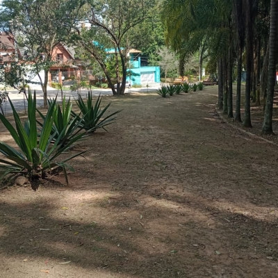 Manutenção das áreas verdes