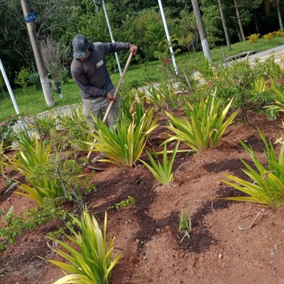 Manutenção das áreas verdes