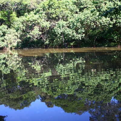 Manutenção das áreas verdes