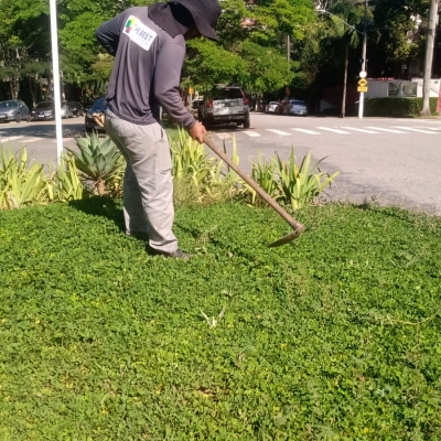 Manutenção das áreas verdes