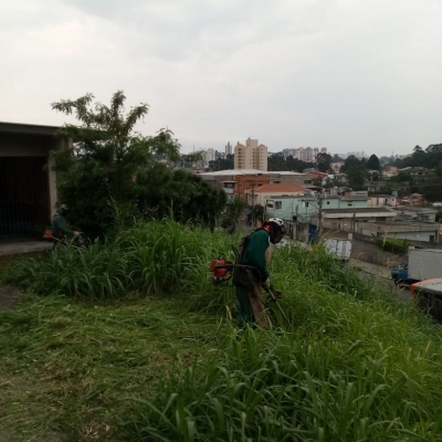 Manutenção das áreas verdes