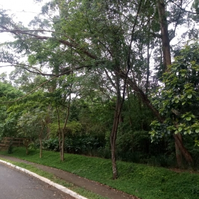 Manutenção das áreas verdes