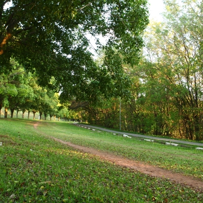 Manutenção das áreas verdes