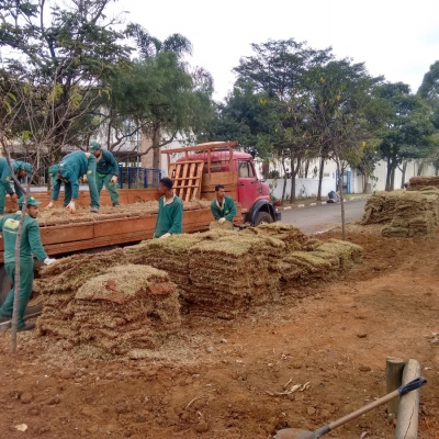 Manutenção das áreas verdes