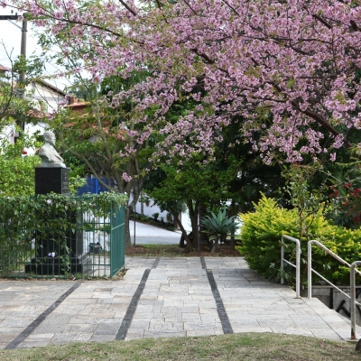 Manutenção das áreas verdes