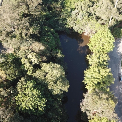 Manutenção das áreas verdes