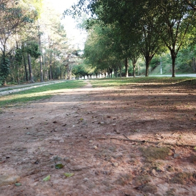 Manutenção das áreas verdes