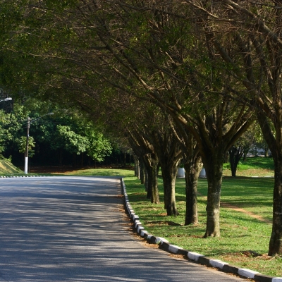 Manutenção das áreas verdes