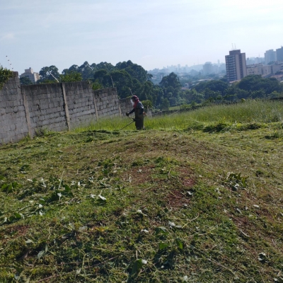 Manutenção das áreas verdes