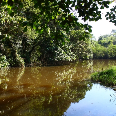 Manutenção das áreas verdes