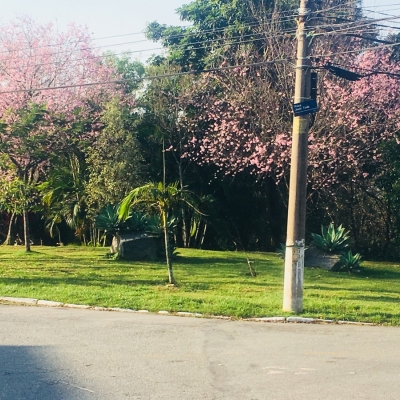 Manutenção das áreas verdes