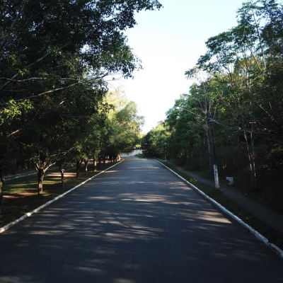 Manutenção das áreas verdes