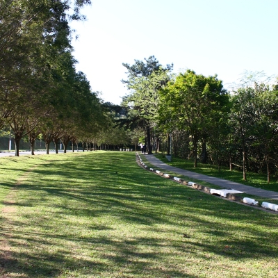 Manutenção das áreas verdes