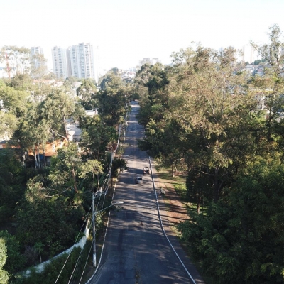 Manutenção das áreas verdes