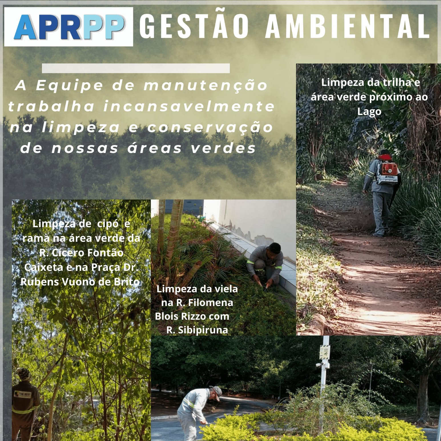 Gestão Ambiental - The Best