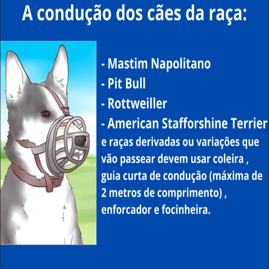 Condução dos Cães de Raça