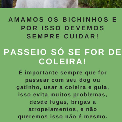 Resultado da pesquisa