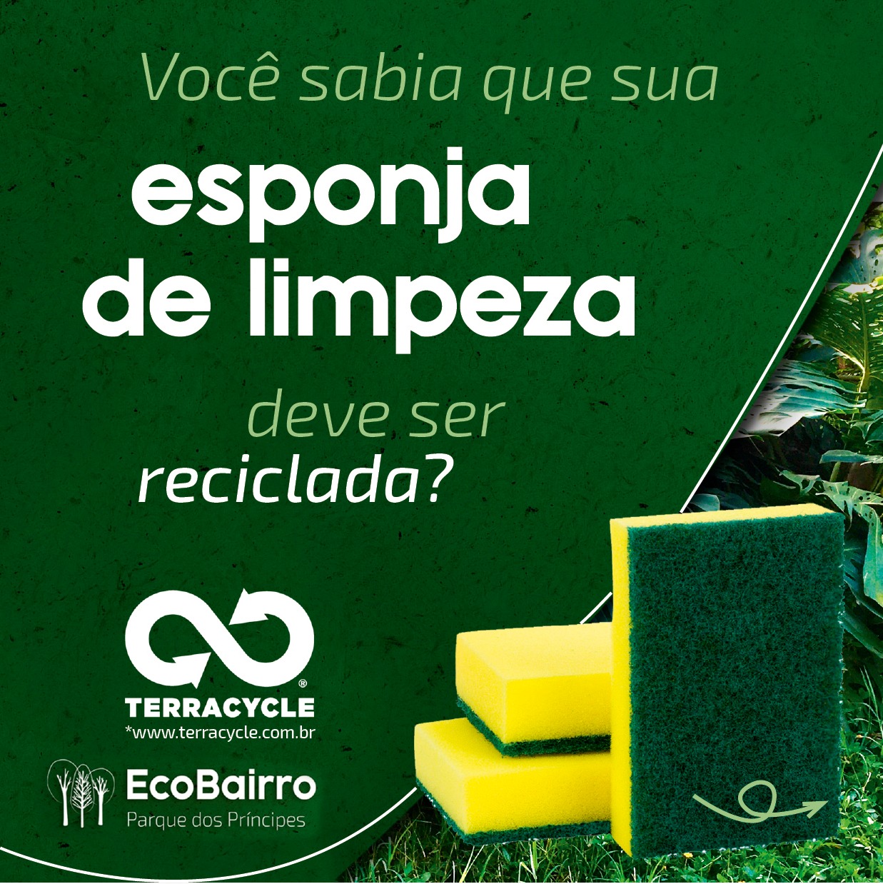 Reciclagem Esponja
