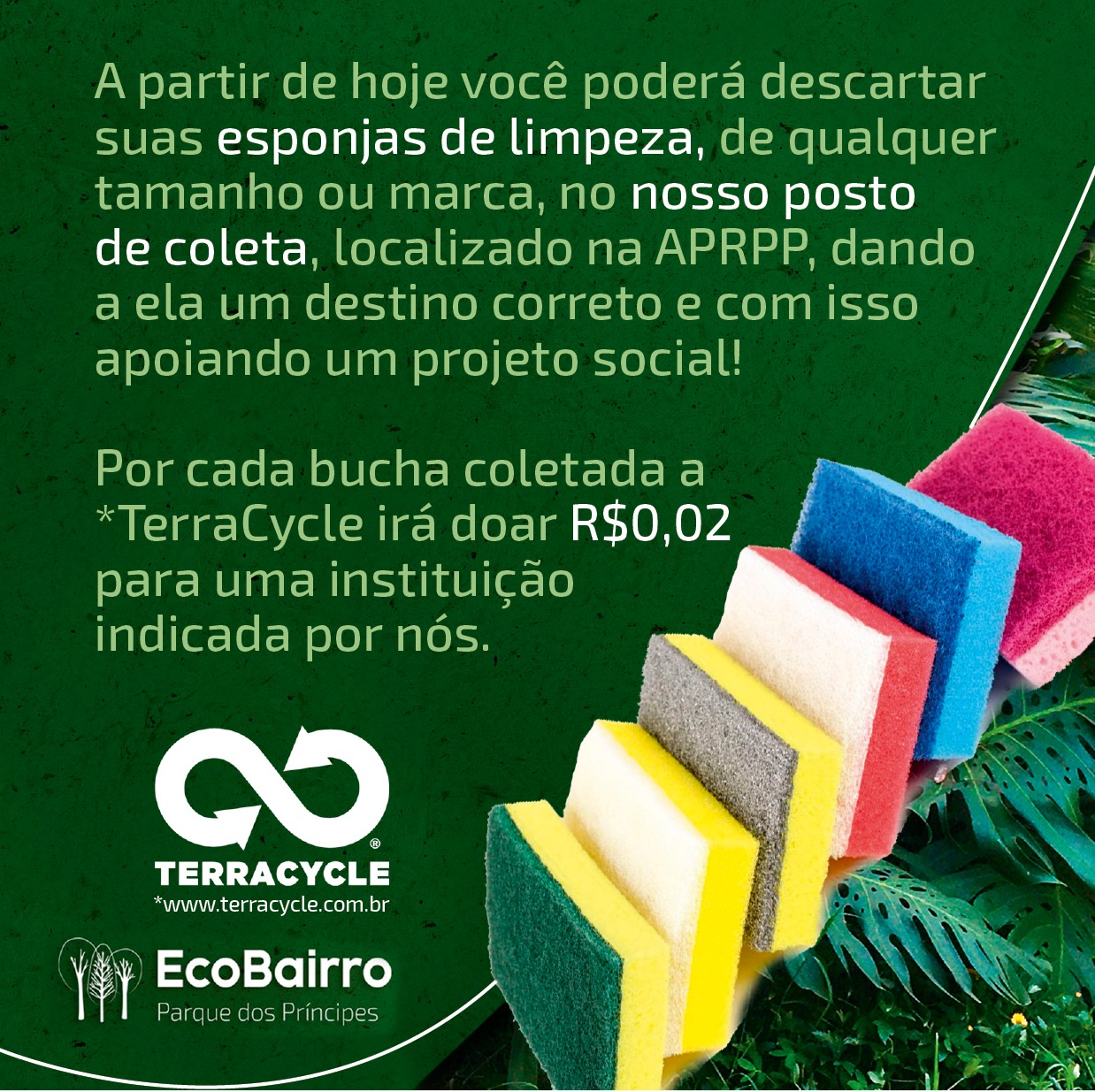 Decarte Esponja