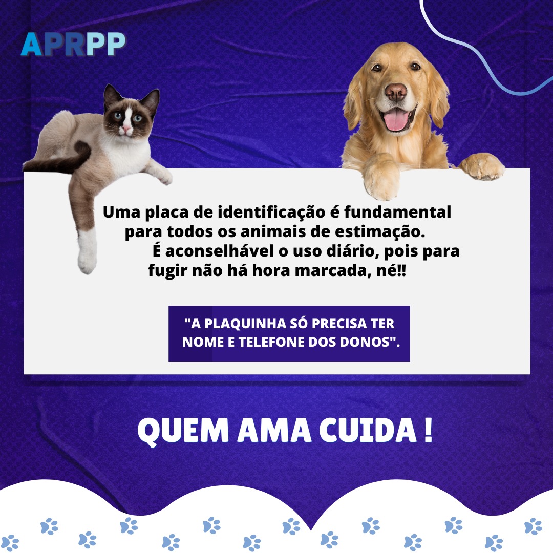 Plaquinhas de identificaçao