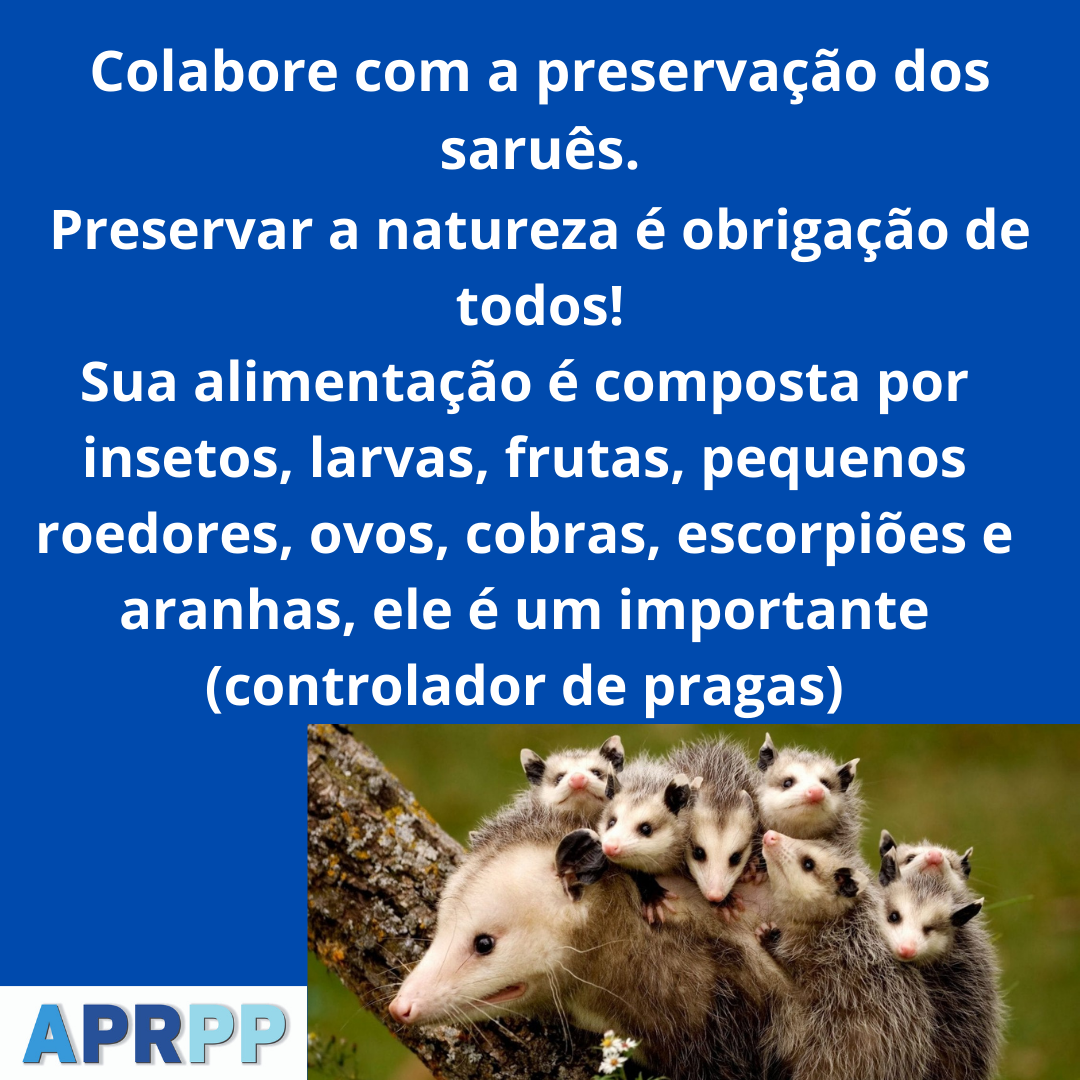 Preservação dos Saruês